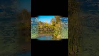 Download lagu 10/16/24 Hike along the Rim & Quarry Trails at Depauw Nature Park in Greencastle Indiana mp3