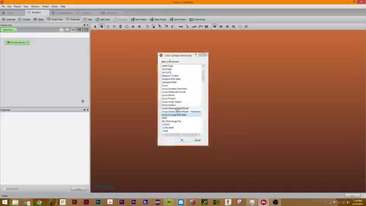 Tutorial 6: Working with Large Data Sets in Avizo