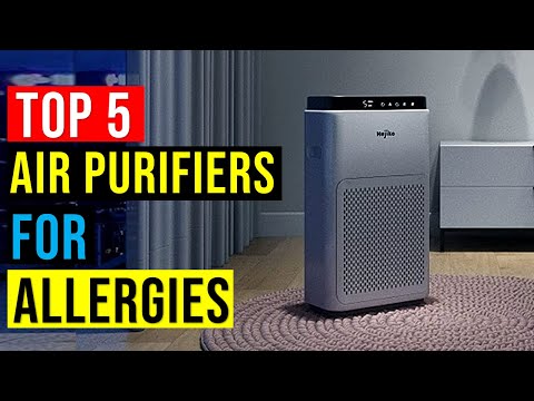 ✅Top 5 Best Air Purifiers for Allergies in 2023 - The Best Air Purifiers for Allergies {Reviews}