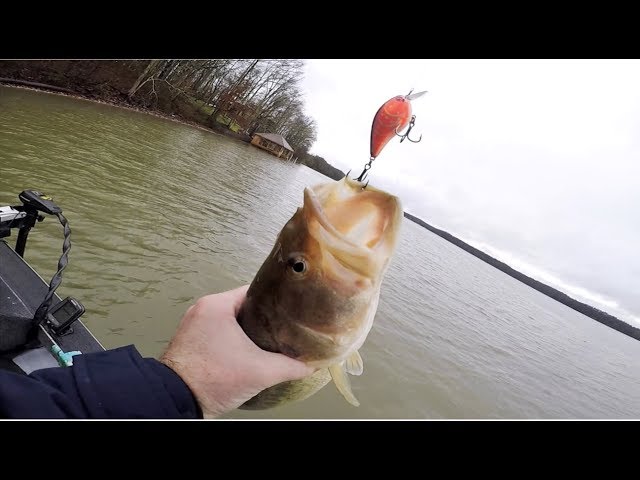 PERFECTING THE CRANKBAIT FISHING SYSTEM