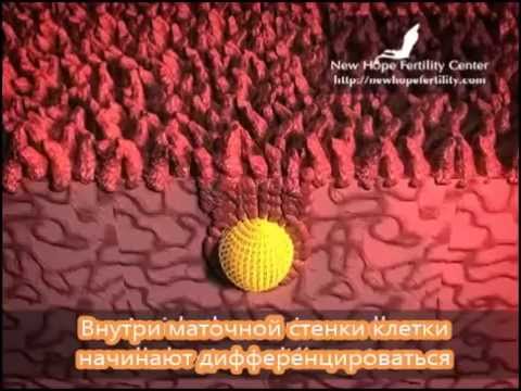 Лечебная гимнастика при лечении коленного сустава Симптомы миозита шейного отдела