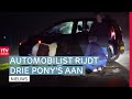 Pony's doodgereden in Erica en VVN wil snelheid provinciale weg omlaag  | RTV Drenthe