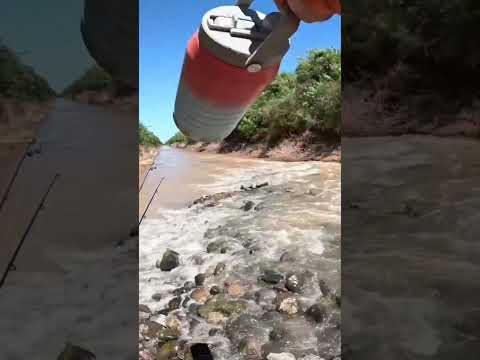 🔥MUCHA Pesca y Cocina🔥 Los Puestos y Arroyo Mista #pesca #fishing #argentina #tucuman #fish