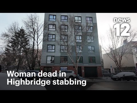 2 face murder charges in gruesome Bronx stabbing that killed woman | News 12