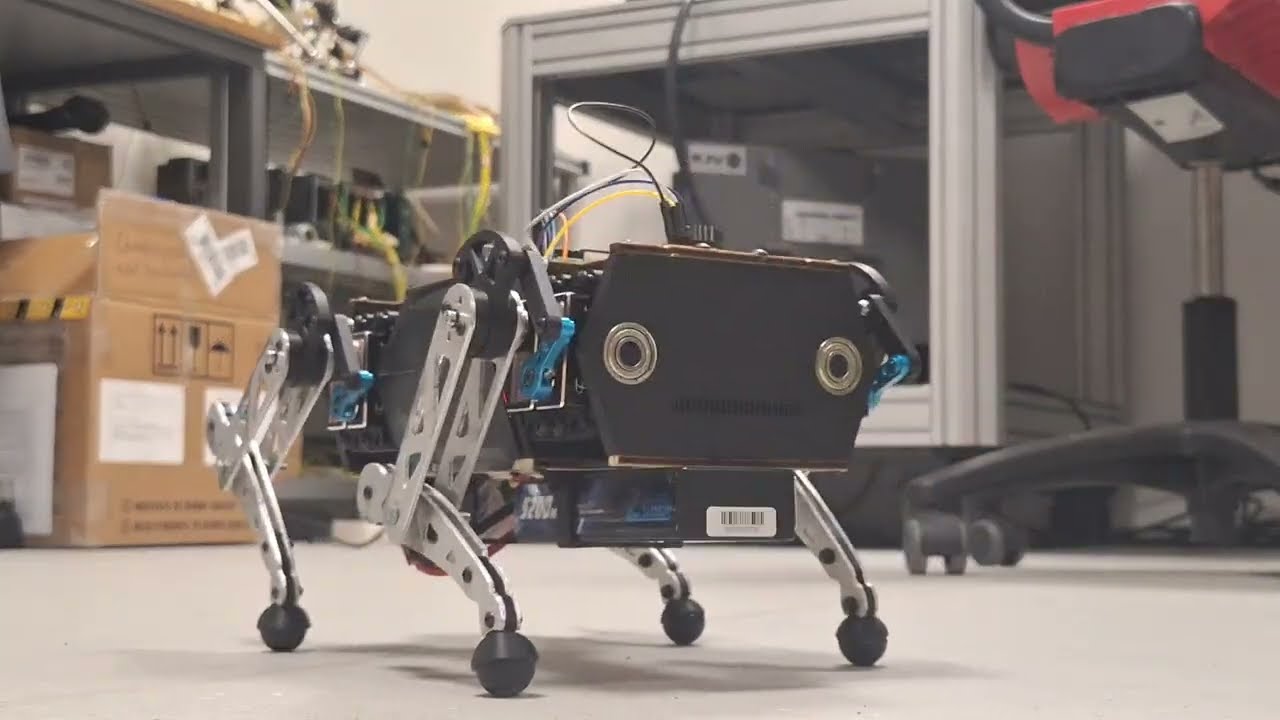 Watch the Dog in Action