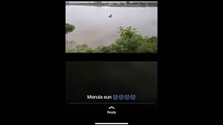 Download lagu mermaid  that eats a man in south 🇿🇦 mp3