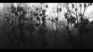 Recondite - Floe