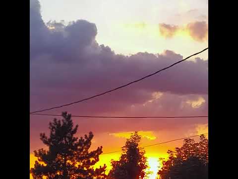 Narbo' - Robin des Bois