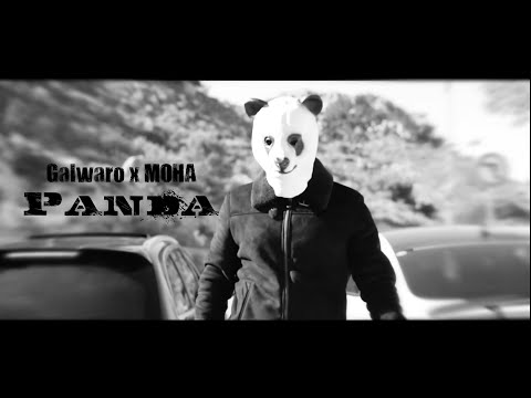 Galwaro x MOHA - Panda 🐼 // (Music Video)