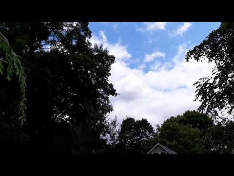 (weeping willows) Like My Telephone - Robin Yukiko