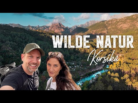 KORSIKA ROADTRIP #03 - Wilde Berge, Traum-Fluss & die TANK-PANIK