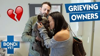 Saddest Owner Goodbyes To Pets | Bondi Vet Compilation