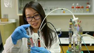 Engineering Internship and Practicum Programs