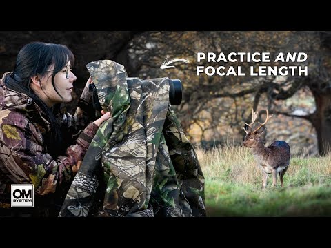 Two Things I Misunderstood About Wildlife Photography (W/ OM System 150–600mm)