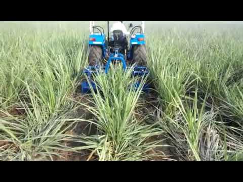 6 feet agriculture cultivator, tractor power: 35 hp, 6 tynes