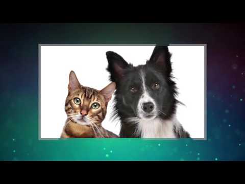 Quality Inn - Jessup MD