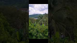 Download lagu story wa demy kesucian ati mp3