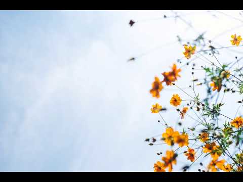 Carrie Skipper - Time Goes By (Floris De Haan Chillout Remix) [2005] HQ