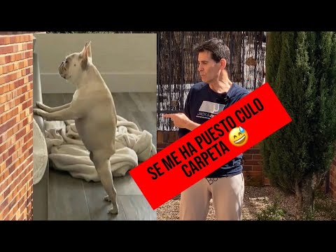 Glúteos en 5 minutos
