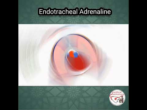 ENDOTRACHEAL ADRENALINE (EPINEPHRINE) DOSE | DRUG ADMINISTRATION #medicine #medicaleducation