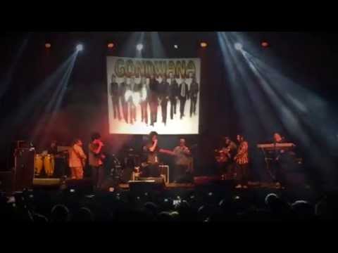Mellow Mood Ft. Gondwana - More Than I Can Say (LIVE)