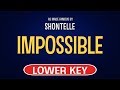 Shontelle - Impossible | Karaoke Lower Key