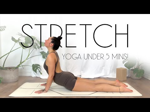 5 Min Yoga Stretch & Flow