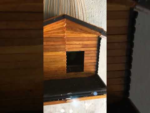 How to make a bird house using ice cream stick 🏚🏠🏡 SUBSCRIBER  friend❤️