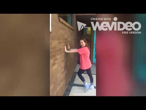 Bella/Regan - Newton's 3 Laws - v2