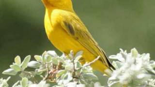 UNA &quot;CALLE&quot; NOS SEPARA.