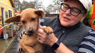 International New Year’s Rescue