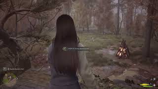 Troll Control Hogwarts Legacy