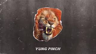 (Yung pinch) Lion Instrumental