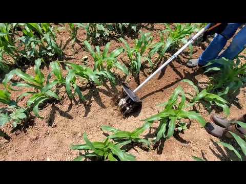 Stihl Kombi Cultivator