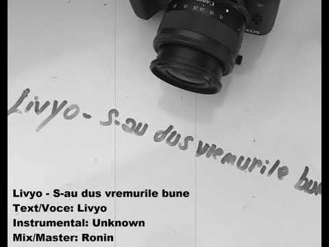 6. Livyo - S-au dus vremurile bune (Decizii de secunda)