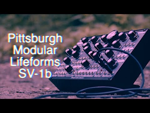 Pittsburgh Modular Lifeform SV-1b Synthesizer Module 2020 - Black image 3
