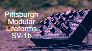 Video thumbnail for Introducing the Pittsburgh Modular SV-1b Modular Synthesizer by Pittsburgh Modular Synthesizers