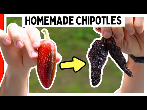 How To Make Chipotle Peppers 🌶️