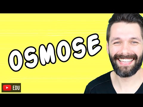 OSMOSE - CÉLULA ANIMAL X CÉLULA VEGETAL | Biologia com Samuel Cunha