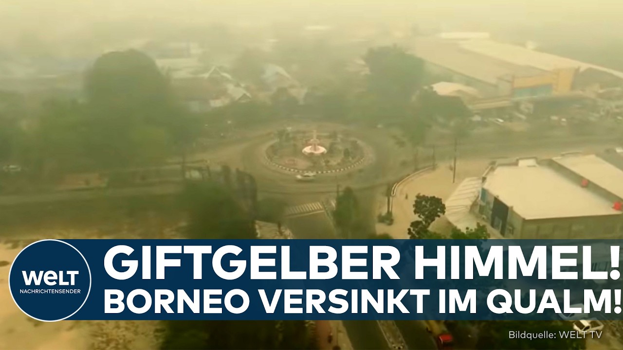 BORNEO VERSINKT IM SMOG: Giftiger Rauch verschluckt ganze Städte! Brandrodungen ersticken Bewohner!