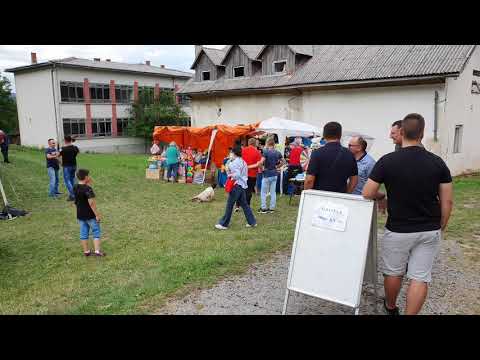 Nebljusi Ilindan 2019.