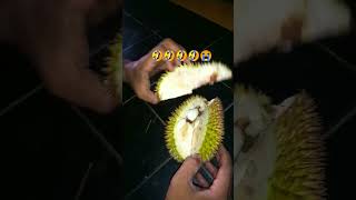 Download lagu Belah Duren #youtubeshorts #viral #shorts mp3