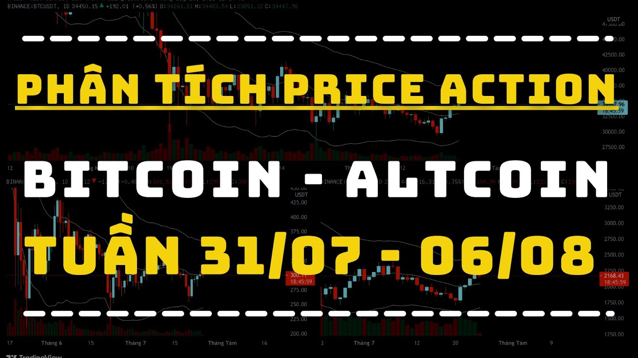 Phân Tích BITCOIN - ALTCOIN Theo Price Action Tuần 31/07-06/08