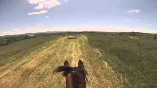 Virginia CCI* - Kelsey Briggs and the Gentleman Pirate Cross Country helmetcam