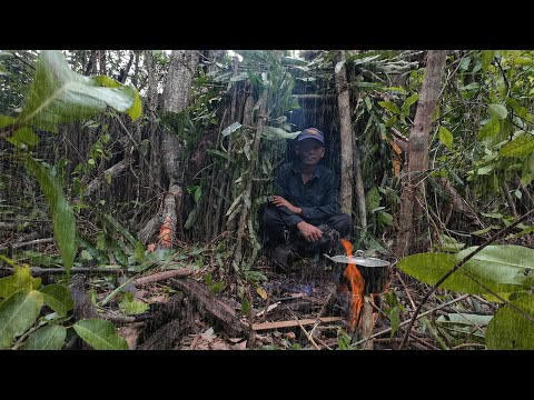 SOLO Survival in Rain | DIY Bushcraft Shelter & Campfire Cooking in the Wild Jungle!