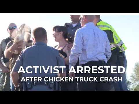 Activist arrested after chicken truck crash