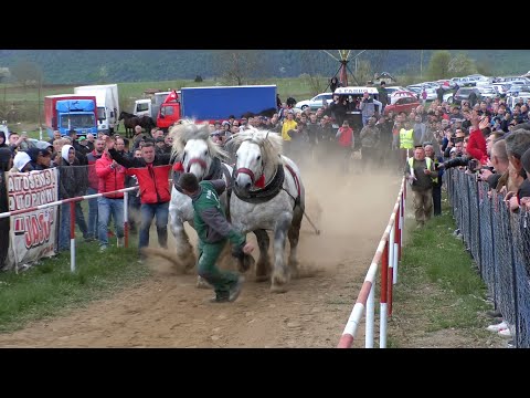 -Adnan Medić u teškoj Izačića kačio Falca i Arona -