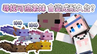 [Vtub] 香草奈若 Minecraft 尋找蠑螈