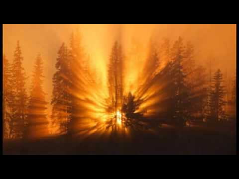 1041 Olivio Fonseca - Flores - 41 Caboclos da Umbanda