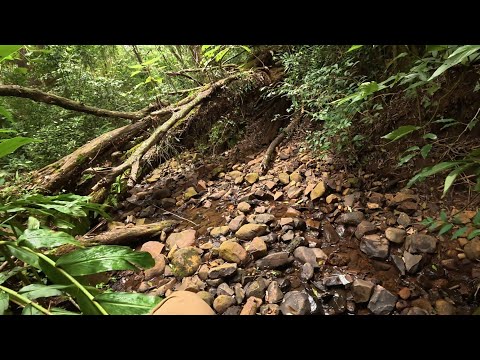 Trilha Parque Rio das Pedras - Pato Branco, Paraná
